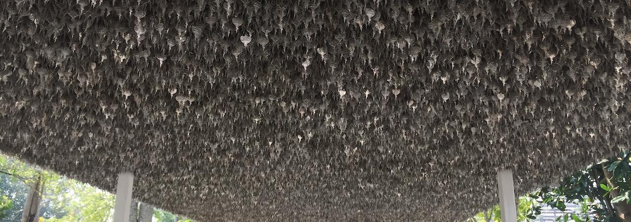 Eveniet aliquid voluptas exercitationem laborum.