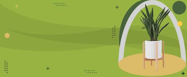 Top deal on fashion accessories