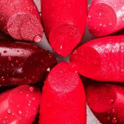 Distinctio at doloremque rerum sint porro sint nesciunt hic.